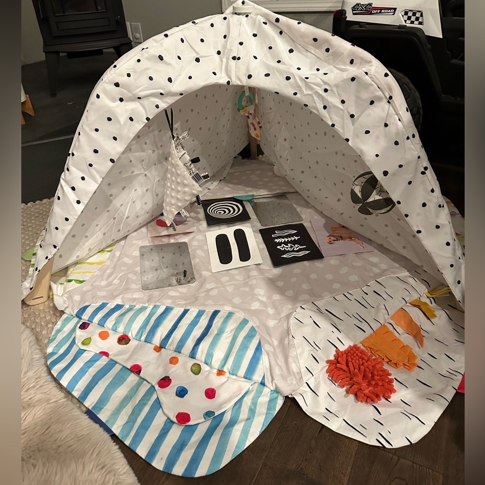 Lovevery Play Gym and Box